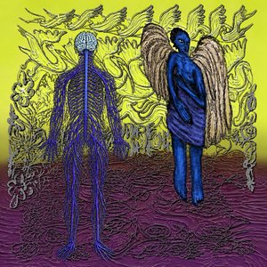 Image for 'Flesh & Nerve'