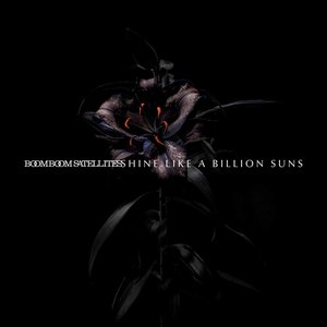 Bild für 'SHINE LIKE A BILLION SUNS'