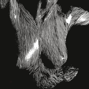 Image for 'Self-Preserved While the Bodies Float Up'