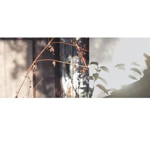 Image for 'Feel'