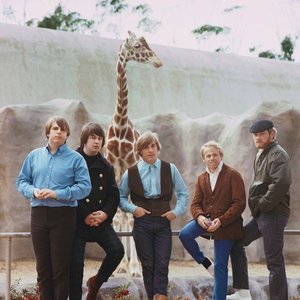 Image for 'ザ・ビーチ・ボーイズ'