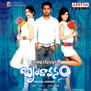 Image for 'Brindaavanam'