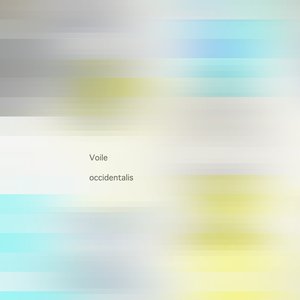 Image for 'occidentalis'