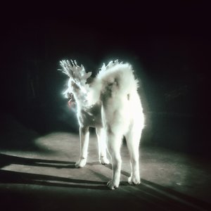 Image for 'Shit Love'