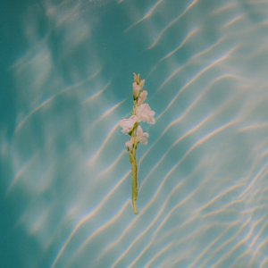 Image for 'In Each Moment'