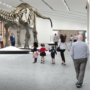 Image for 'Museum Music'