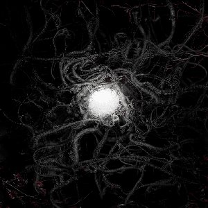 Image for 'PARASITE'