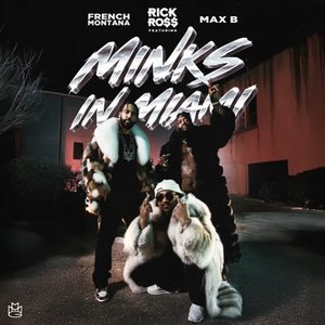 Image for 'Minks In Miami'