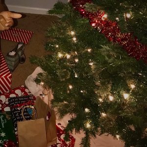 Image for 'most wonderful time of year'
