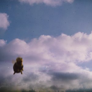 Image for 'Stung!'