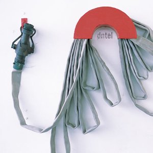 Image for 'Dumb Luck'