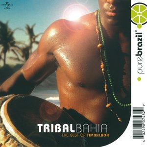 Image for 'Tribal Bahia'