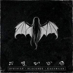 Immagine per 'Blackbox: Kasamaan'