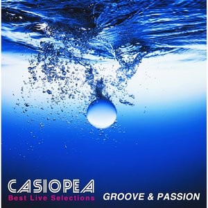 Image for 'BEST LIVE SELECTIONS GROOVE&PASSION (Live)'