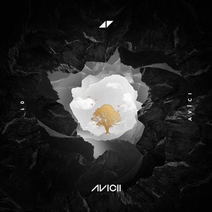 Zdjęcia dla 'Avīci (01) - EP'