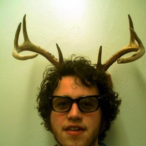 Image for 'The Woods'