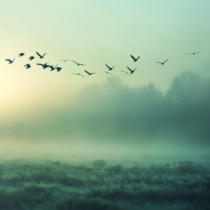 Zdjęcia dla 'Flying South (Nature)'