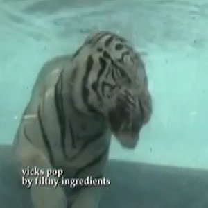 Immagine per 'Filthy Ingredients'