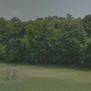 Image for 'litter'