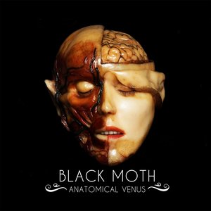 Imagen de 'Anatomical Venus'