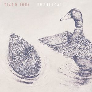 Image for 'Umbilical'
