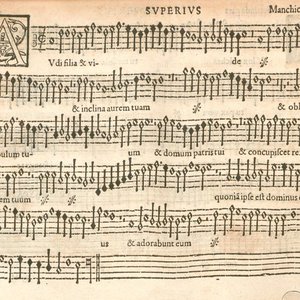 Image for 'Pierre de Manchicourt'
