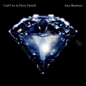Image for 'Joya (Remixes)'