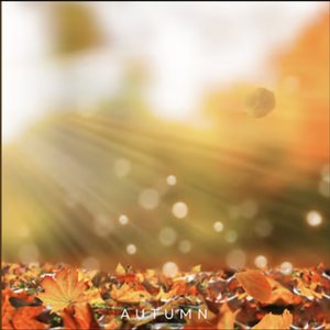 Image for 'Autumn'