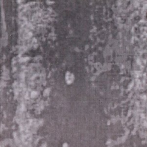 Image for 'Thallium'