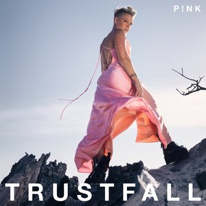 Image for 'Trustfall'