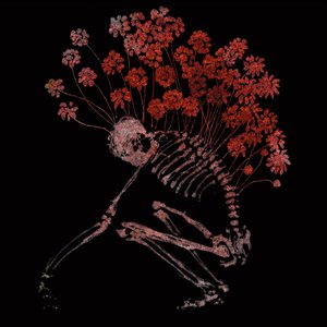 Image for 'Folk Aesthetic (1996-2006)'