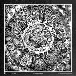 Image for 'Tapestry'