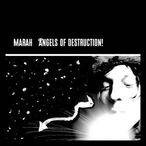 Image for 'Angels Of Destruction'