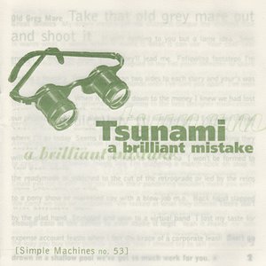 Image for 'A Brilliant Mistake'