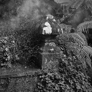Image for 'Wuthering Heights'