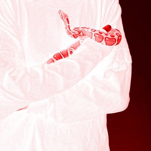 Image for 'Walk You Home'