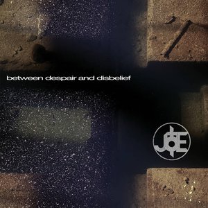 Image for 'Between Despair And Disbelief'