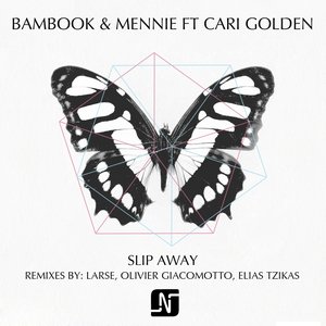 Image for 'Slip Away'
