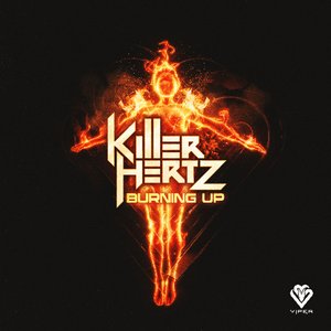 Image for 'Burning Up'