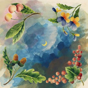 Bild für 'Midnight Tangerine'