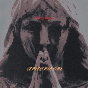 Image for 'Ameneon'