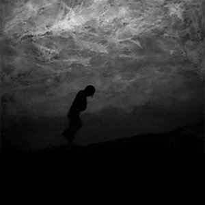 Immagine per 'Nachtreich'