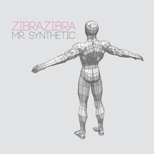 Immagine per 'Mr. Synthetic'