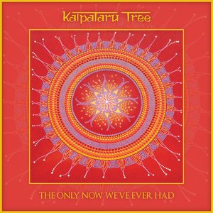 Image for 'The Only Now We've Ever Had'