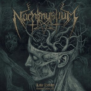 Image pour 'Live Decay: Roadburn (Live at Roadburn Festival, 13th April 2012)'