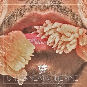 Image for 'Underneath the Pine'