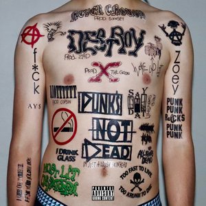 Изображение для 'PUNK’S NOT DEAD'