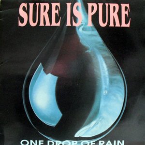 Immagine per 'One Drop Of Rain'
