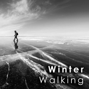 Image for 'Winter Walking: Soundtracks for Cold Days'