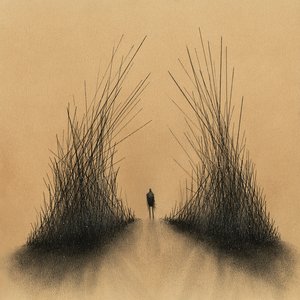 Изображение для 'Curious Things'